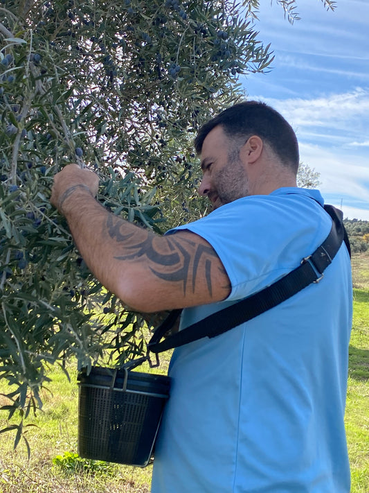 KERSEN DESSERTSAUS 200 ML - TOETJE