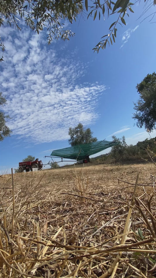 KERSEN DESSERTSAUS 200 ML - TOETJE